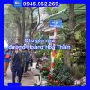 Dịch vụ Chuyển nhà trọn gói tại đường Hoàng Hoa Thám