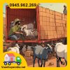Bốc vác bốc xếp hàng hóa quý hiếm