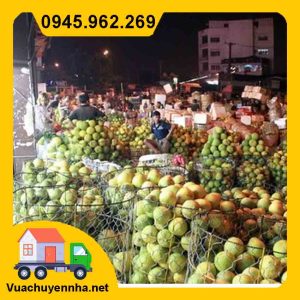 Bốc xếp hàng tươi sống - hàng đông lạnh - hoa quả tươi